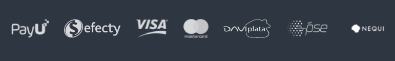 Cuáles son los métodos de pago disponibles