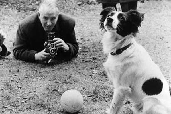 Pickles, el perro que “permitió” el Mundial de Inglaterra 1966