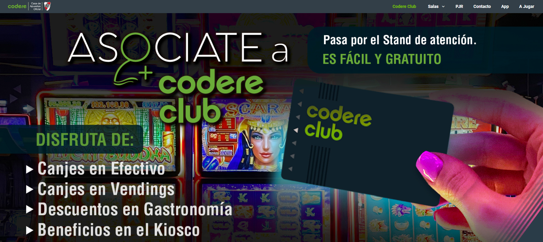 bingo codere